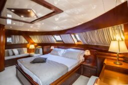 
										Spertini Alalunga Navetta full									