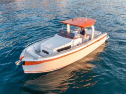 
										ITALYURE 35 OPEN full									